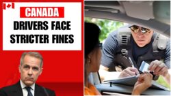 New Traffic Laws Coming to Canada — Drivers Warned About Stricter Fines and Licence Penalties